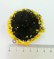 Сердцевина для цветов с напылением d=45(черный)